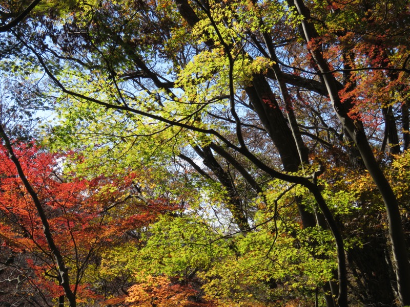 奥久慈・男体山